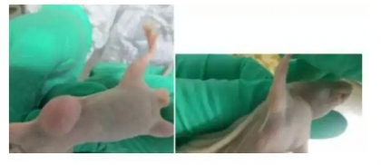 ʵ