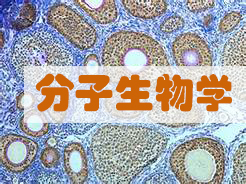 ѧʵ