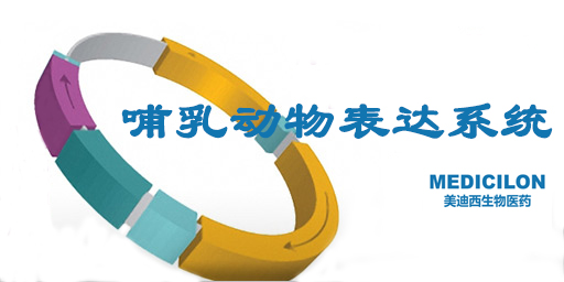 鶯ϸϵͳص㡢Ƽо״