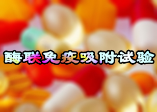 ø