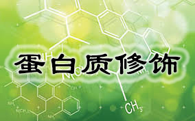 (PEGη)