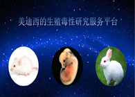 ֳоƽ̨