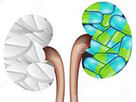 NEJMһĶPD-1/PD-L1ͨ·