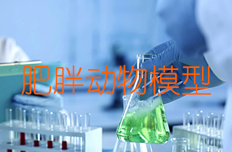 http:/yao-li-xue/nei-fen-mi-dai-xie.shtml