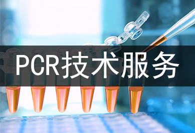 PCR