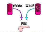 Ѫ̬GKǰ