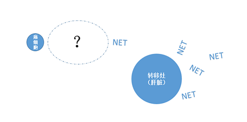 NETڰϸתҪ