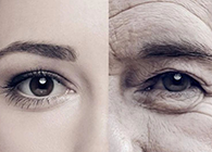 һܹӳĽѹҩ˵
