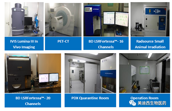 美迪西药理部拥有IVIS Lumina III, PET-CT, BD LSRFortessa-16,Flow Cytometry等仪器 美迪西药理部拥有IVIS Lumina III, PET-CT, BD LSRFortessa-16,Flow Cytometry等仪器