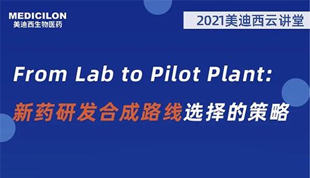ƽáFrom Lab to Pilot Plant ҩзϳ·ѡĲ