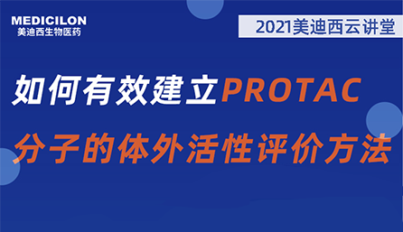 ƽáЧPROTACӵ۷