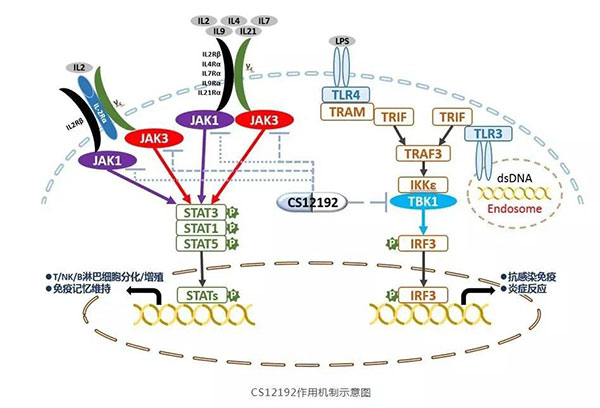 CS12192ûʾͼ