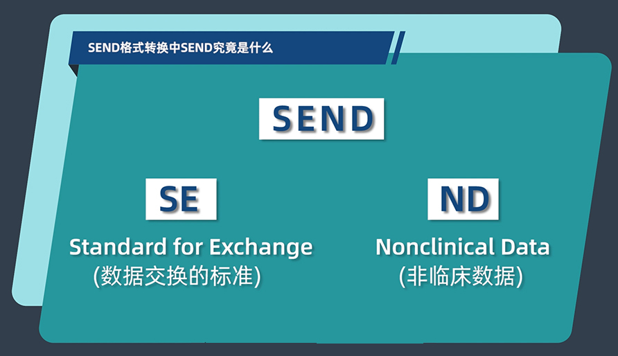 SENDʽתеSENDʲô