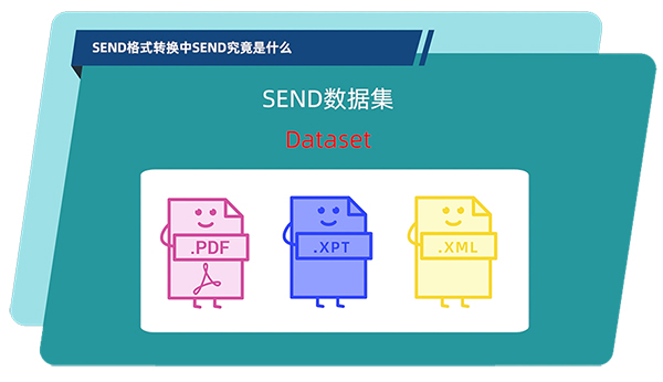 SENDݼĹ.jpg