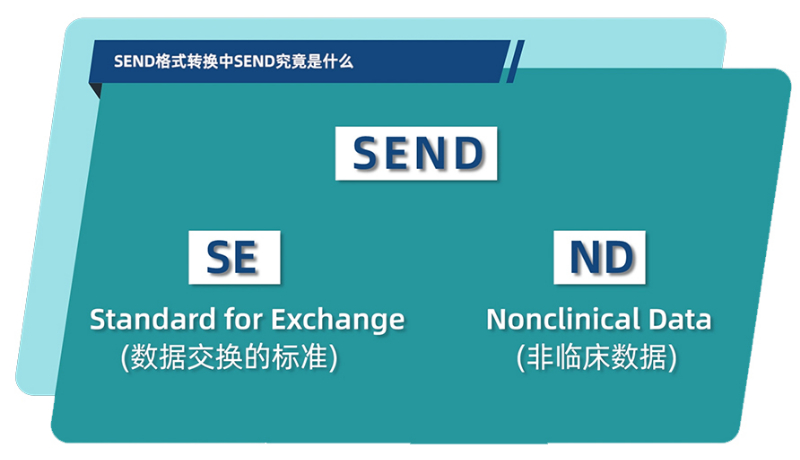SENDʽתеSENDʲô.jpg