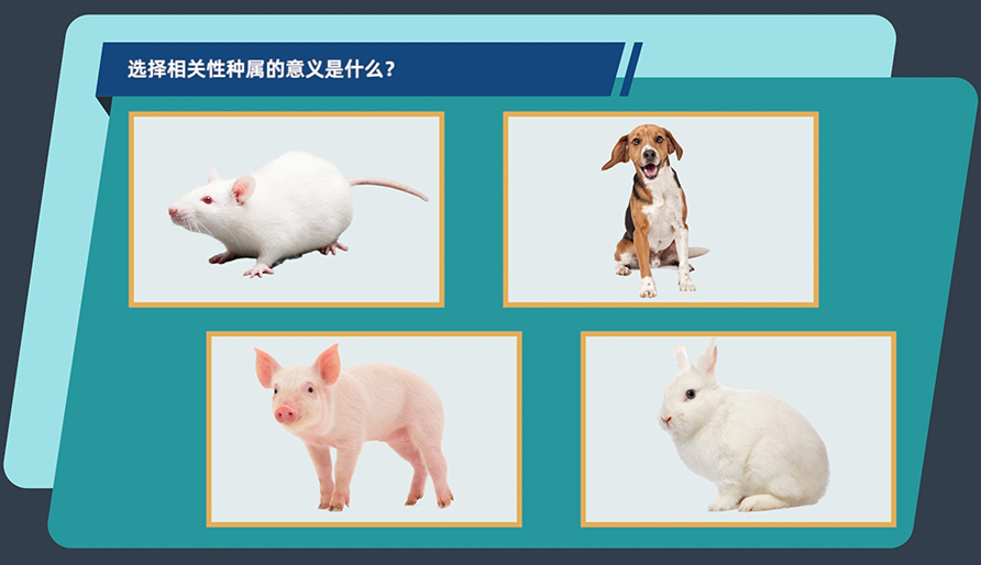 ѡʲô