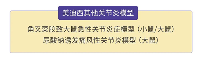 美迪西其他关节炎模型.png 美迪西其他关节炎模型.png