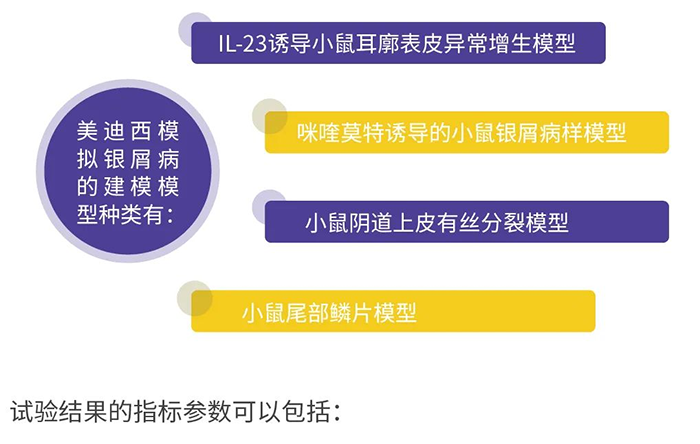 美迪西模拟银屑病的建模模型.png 美迪西模拟银屑病的建模模型.png