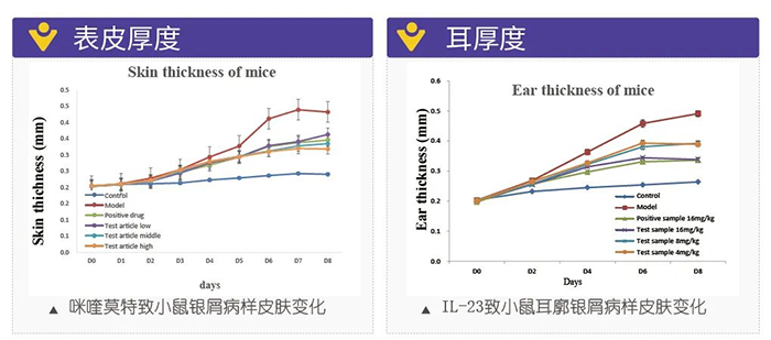 美迪西模拟银屑病的建模模型-试验结果的指标.png 美迪西模拟银屑病的建模模型-试验结果的指标.png