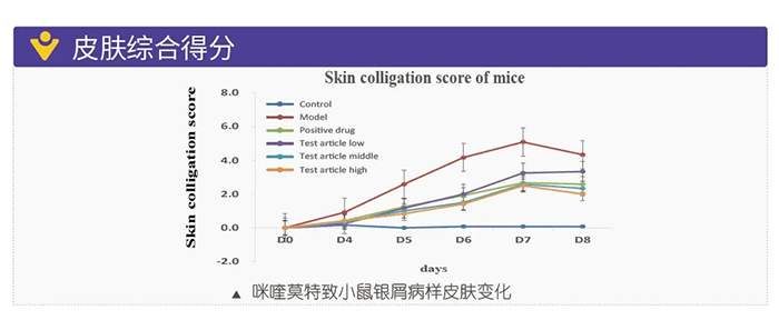 美迪西模拟银屑病的建模模型-皮肤综合得分.png 美迪西模拟银屑病的建模模型-皮肤综合得分.png