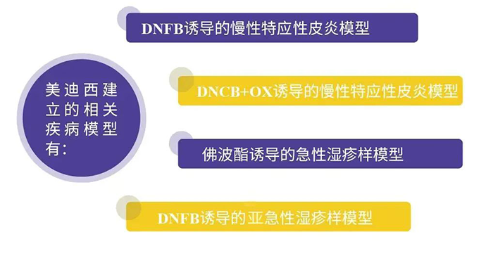 美迪西建立的特应性皮炎模型.png 美迪西建立的特应性皮炎模型.png