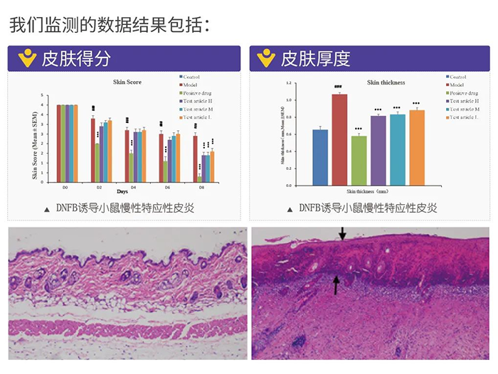 美迪西监测的数据结果.png 美迪西监测的数据结果.png