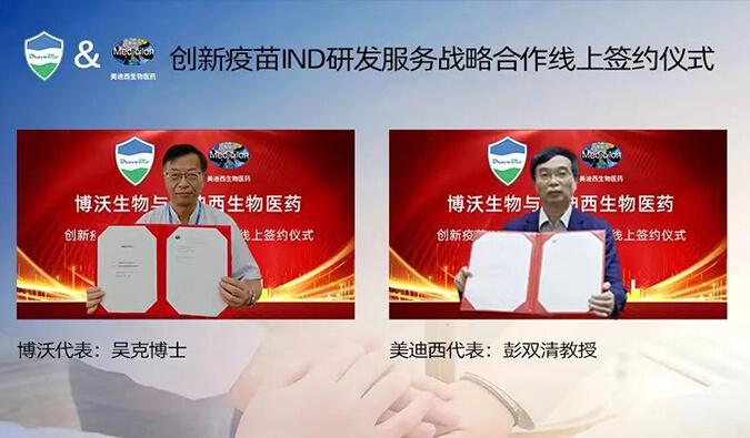 벩ɴINDзսԺ