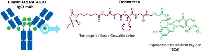 Trastuzumab-deruxtecan-(DS-8201)-ṹ.jpg