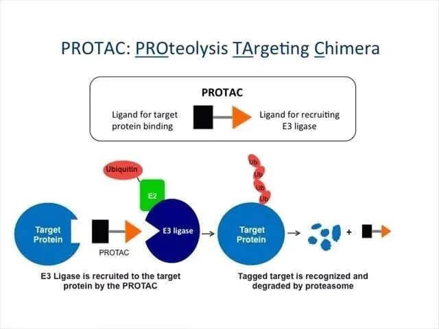 ʽǶ-PROTAC.jpg
