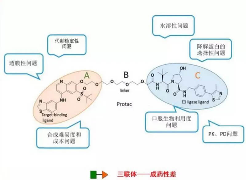 PROTACϴܽԽϲ.jpg
