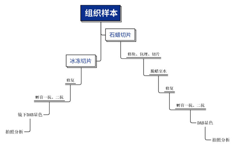 黯.jpg
