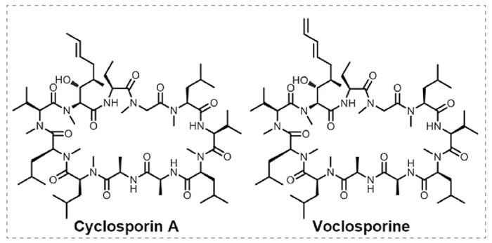 4-Cyclophilin-A-VoclosporineӽĽṹ.jpg