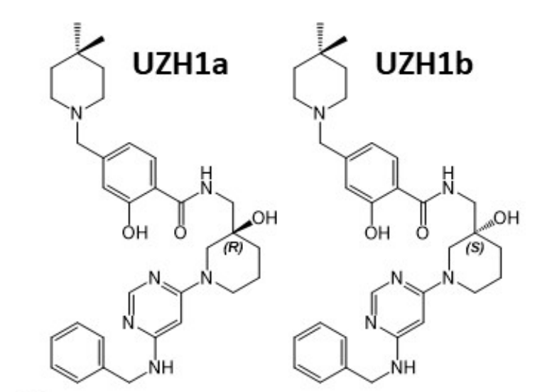 оԱһ־ϸ͸ԵѡMETTL3ĦƼUZH1a߸лϳUZH1aUZH1b