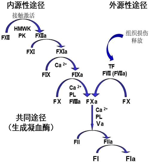 ͼ1--Ѫͨ·ͼ.png