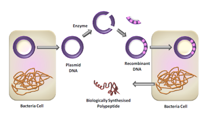 DNA//ϳ.png