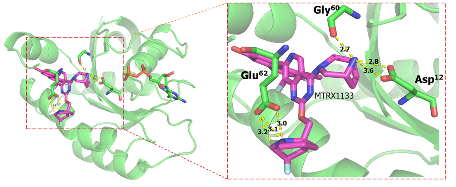 GDPϵKRAS-G12D-MRTX1133Ĺṹ.png
