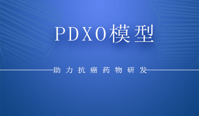 PDXOģ.jpg