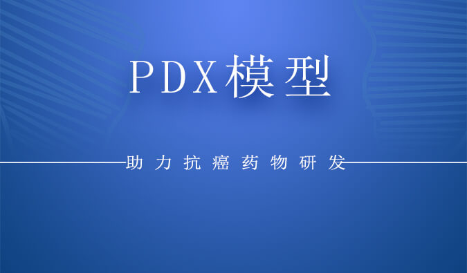 PDXģ.jpg