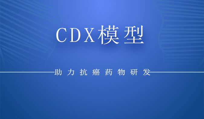 CDXģ.jpg