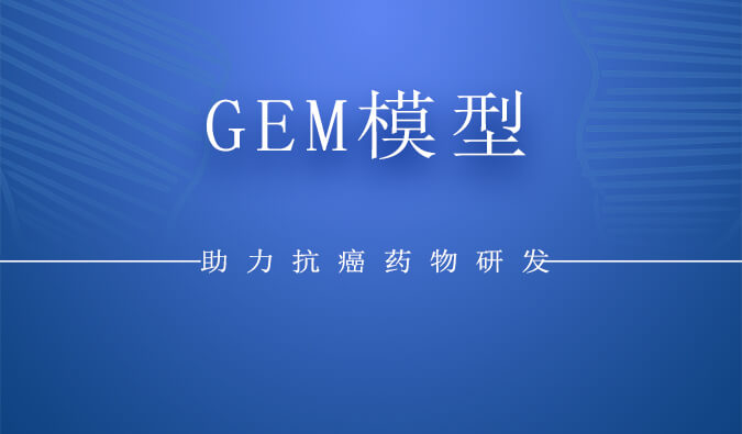 GEMģ.jpg