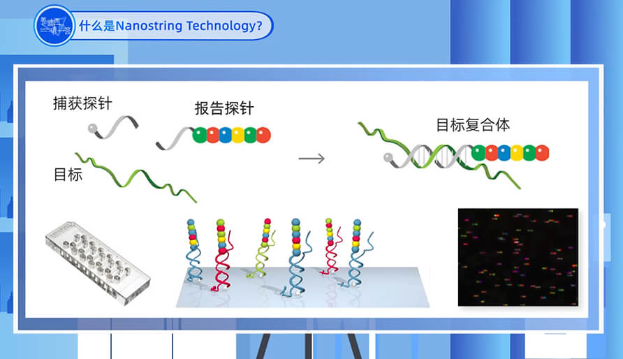 ʲôNanostring 