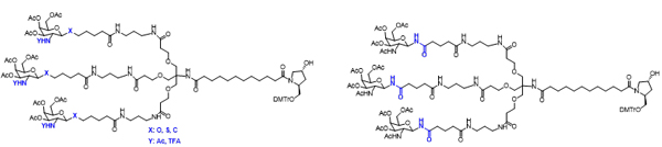 N-ǰ(GalNAc)-ϳ-2.jpg