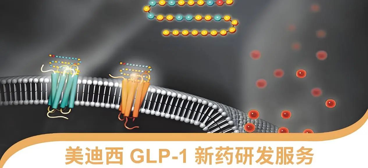 70.5%ĳĳ֣ί£GLP-1ҩͻΧ