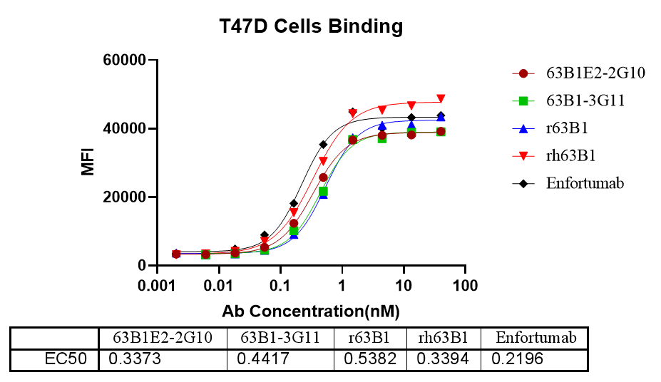 ʽϸϸ-1.png