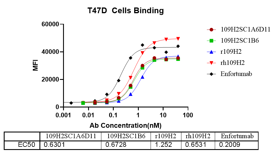 ʽϸϸ-2.png